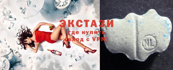 spice Болотное