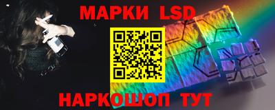 прущие грибы Можга