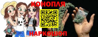 прущие грибы Можга