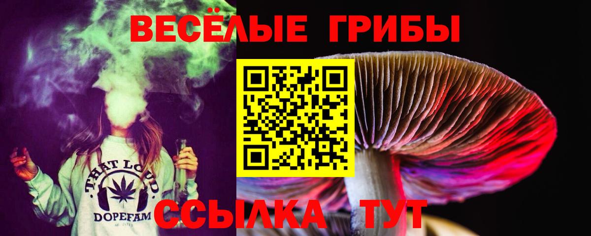 Галлюциногенные грибы Psilocybine cubensis Чистополь