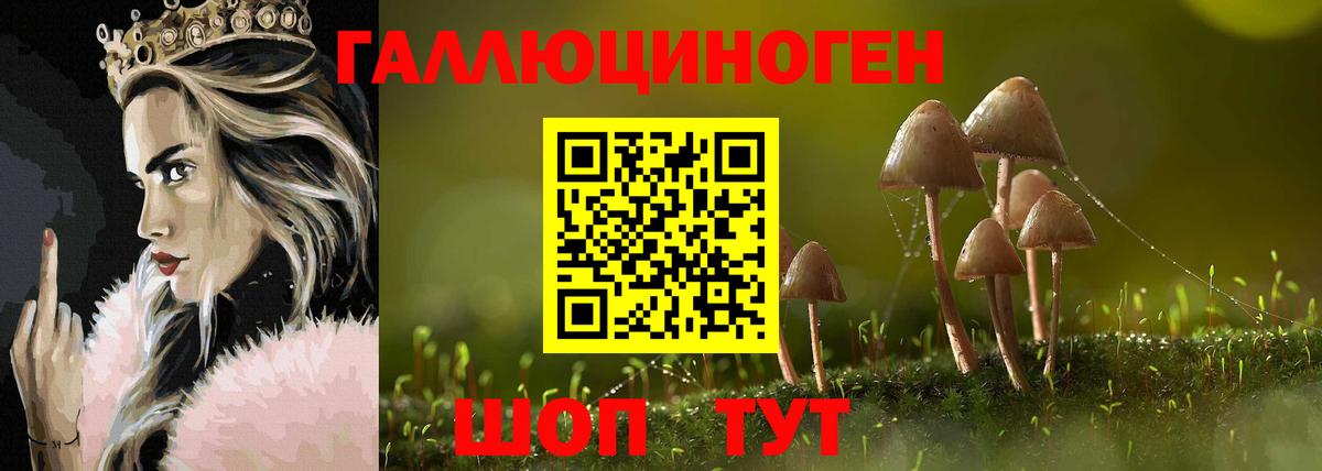 Псилоцибиновые грибы MAGIC MUSHROOMS  Вход с VPN  Чистополь  Галлюциногенные грибы MAGIC MUSHROOMS 